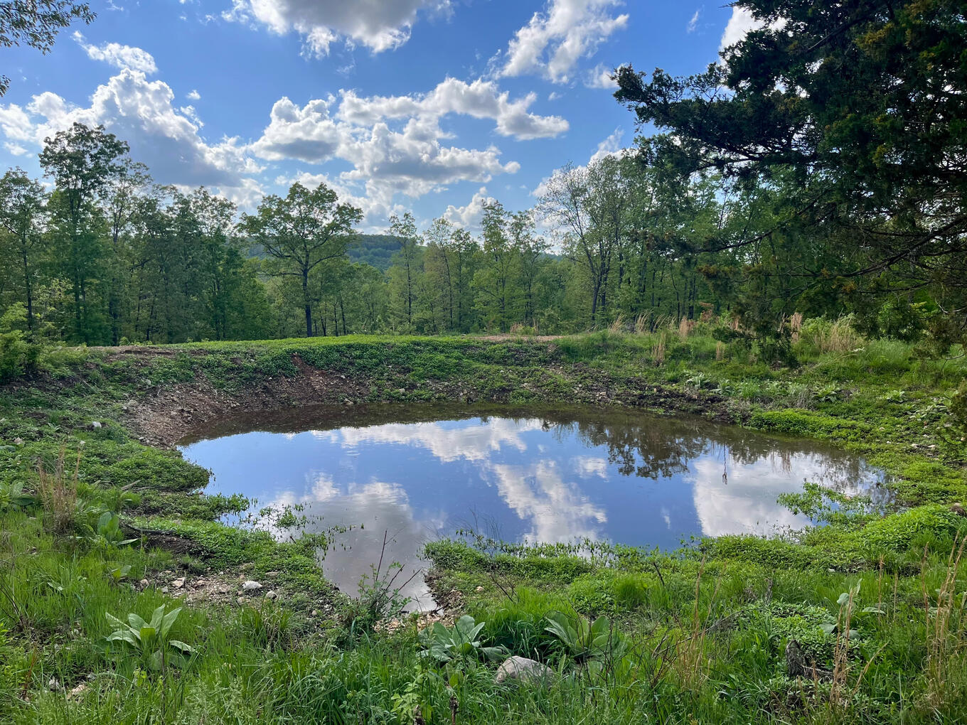 Seasonal Pond Seasonal Pond