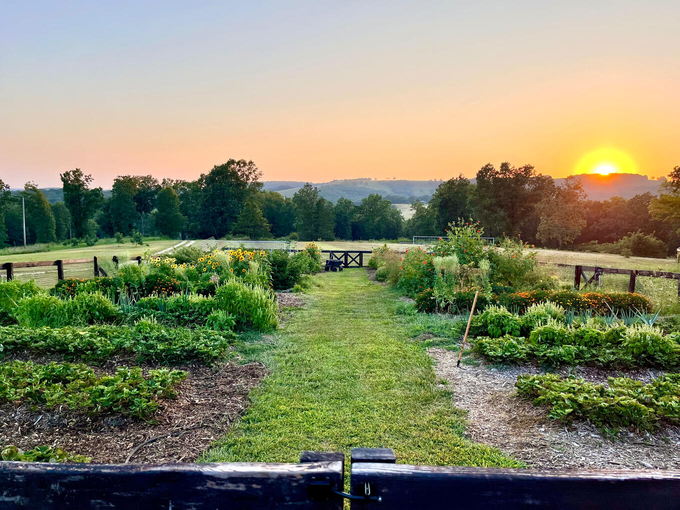 Garden Garden