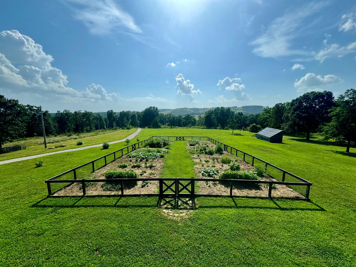 Garden Garden